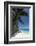 Anse Macquereau, Fregate Island, Seychelles, Indian Ocean, Africa-Sergio Pitamitz-Framed Photographic Print