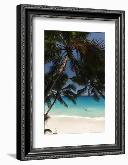 Anse Maquereau, Fregate Island, Seychelles-Sergio Pitamitz-Framed Photographic Print