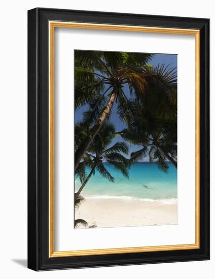 Anse Maquereau, Fregate Island, Seychelles-Sergio Pitamitz-Framed Photographic Print