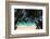 Anse Maquereau, Fregate Island, Seychelles-Sergio Pitamitz-Framed Photographic Print