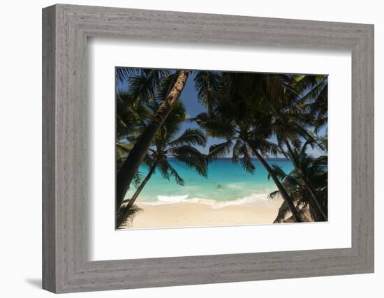 Anse Maquereau, Fregate Island, Seychelles-Sergio Pitamitz-Framed Photographic Print