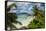 Anse Severe beach, La Digue, Republic of Seychelles, Indian Ocean.-Michael DeFreitas-Framed Premier Image Canvas