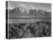 Stretched Canvas Print