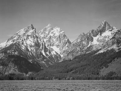 Grassy Valley Tree Covered Mt Side And Snow Covered Peaks Grand