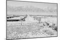 Photographic Print