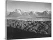 Stretched Canvas Print