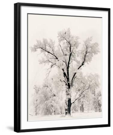 Framed Vintage Photography Prints Wall Art Art
