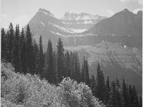 Trees And Bushes In Foreground Mountains In Bkgd "In Glacier National Park" Montana. 1933-1942-Ansel Adams-Art Print