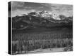 Stretched Canvas Print