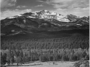 Black White Nature Photography Prints And Wall Art Art Com I wanted to understand the mistakes i was doing in my other paintings better. black white nature photography