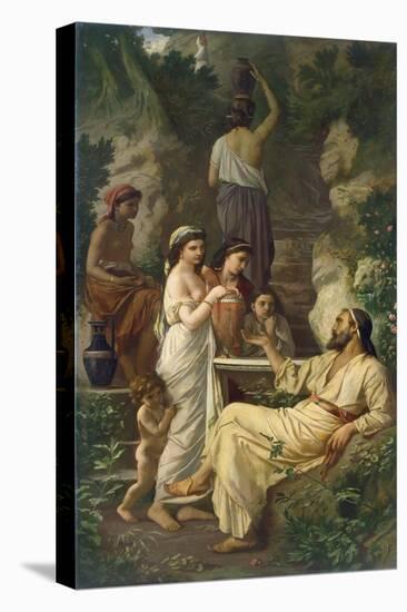 Stretched Canvas Print, , large