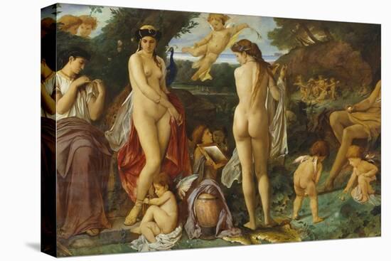 Stretched Canvas Print, , large