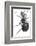 Ant, 17th Century Artwork-Library of Congress-Framed Photographic Print