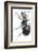 Ant, 17th Century Artwork-Library of Congress-Framed Photographic Print