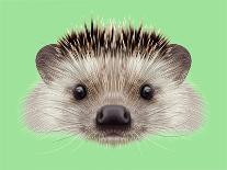 Illustrated Portrait of Hedgehog. Cute Head of Wild Spiny Mammal on Green Background.-ant_art-Art Print