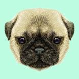 Illustrated Portrait of Pug Puppy. Cute Fluffy Fawn Face of Domestic Dog on Blue Background.-ant_art-Art Print