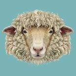 Sheep Portrait. Illustrated Portrait of Ram or Sheep on Blue Background.-ant_art-Framed Art Print