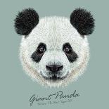 Vector Illustrative Portrait of Panda.Cute Attractive Face Bears.-ant_art-Art Print