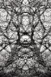 Crystal Gaze,2021,(photograph)-Ant Smith-Giclee Print