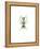 Ant-Alexis Marcou-Framed Stretched Canvas