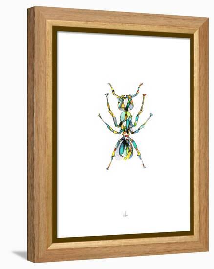 Ant-Alexis Marcou-Framed Stretched Canvas