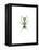 Ant-Alexis Marcou-Framed Stretched Canvas