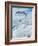 Antarctic Flier, 2015-Vincent Alexander Booth-Framed Giclee Print