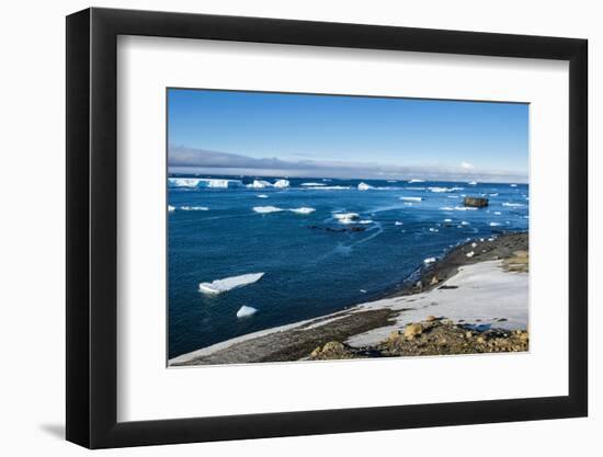 Antarctic fur seal (Arctocephalus gazella), Brown Bluff, Tabarin Peninsula, Antarctica, Polar Regio-Michael Runkel-Framed Photographic Print