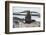 Antarctic fur seal (Arctocephalus gazella), Gourdin Island, Antarctica, Polar Regions-Michael Runkel-Framed Photographic Print