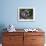 Antarctic Fur Seal (Arctocephalus Gazella), Husvik Island, Antarctic, Polar Regions-Thorsten Milse-Framed Photographic Print displayed on a wall