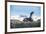 Antarctic fur seal (Arctocephalus gazella), Salisbury plain, South Georgia, Antarctica, Polar Regio-Michael Runkel-Framed Photographic Print