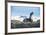 Antarctic fur seal (Arctocephalus gazella), Salisbury plain, South Georgia, Antarctica, Polar Regio-Michael Runkel-Framed Photographic Print