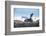 Antarctic fur seal (Arctocephalus gazella), Salisbury plain, South Georgia, Antarctica, Polar Regio-Michael Runkel-Framed Photographic Print