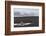 Antarctic fur seals (Arctocephalus gazella) on the beach, Deception Island, Antarctica, Polar Regio-Sergio Pitamitz-Framed Photographic Print