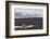 Antarctic fur seals (Arctocephalus gazella) on the beach, Deception Island, Antarctica, Polar Regio-Sergio Pitamitz-Framed Photographic Print