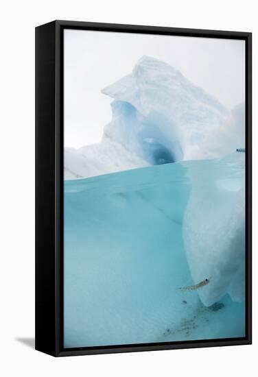 Antarctic Iceberg with Krill, Split View-Louise Murray-Framed Premier Image Canvas