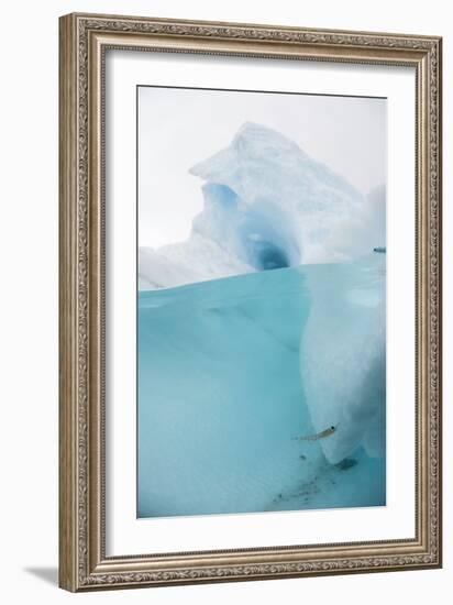 Antarctic Iceberg with Krill, Split View-Louise Murray-Framed Photographic Print