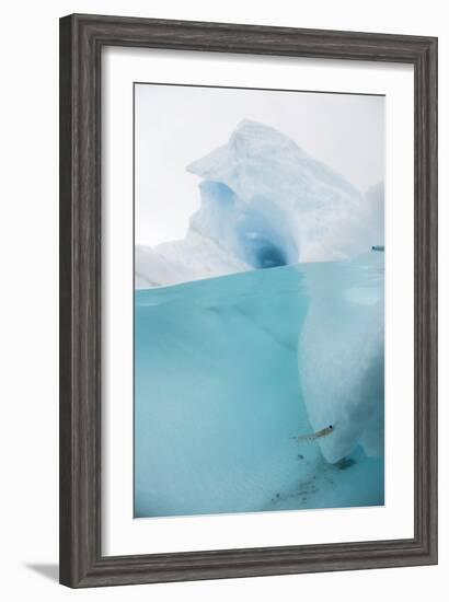 Antarctic Iceberg with Krill, Split View-Louise Murray-Framed Photographic Print
