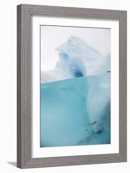 Antarctic Iceberg with Krill, Split View-Louise Murray-Framed Photographic Print