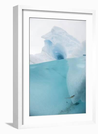 Antarctic Iceberg with Krill, Split View-Louise Murray-Framed Photographic Print