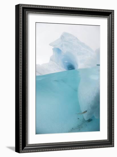 Antarctic Iceberg with Krill, Split View-Louise Murray-Framed Photographic Print