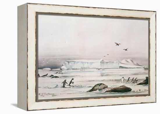 Antarctic Landscape-Edward Adrian Wilson-Framed Premier Image Canvas