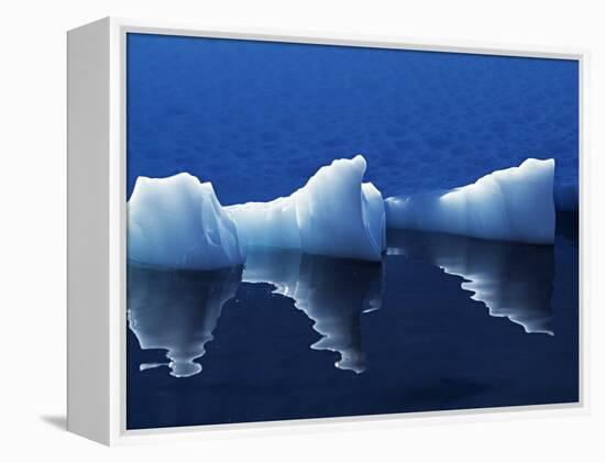 Antarctic Peninsula, Paradise Harbour, Icebergs Colours and Shapes at the Chilean Base in Paradise -Mark Hannaford-Framed Premier Image Canvas