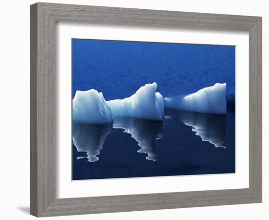 Antarctic Peninsula, Paradise Harbour, Icebergs Colours and Shapes at the Chilean Base in Paradise -Mark Hannaford-Framed Photographic Print