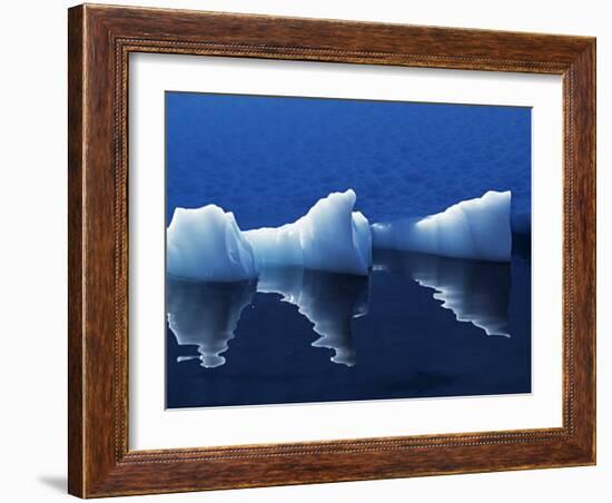 Antarctic Peninsula, Paradise Harbour, Icebergs Colours and Shapes at the Chilean Base in Paradise -Mark Hannaford-Framed Photographic Print