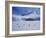 Antarctic Peninsula, Port Lockroy, Gentoo Penguins and Cruise Ship Clipper Adventurer, Antarctica-Allan White-Framed Photographic Print