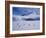 Antarctic Peninsula, Port Lockroy, Gentoo Penguins and Cruise Ship Clipper Adventurer, Antarctica-Allan White-Framed Photographic Print