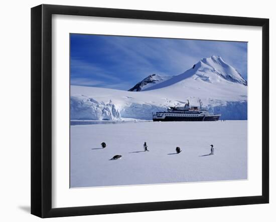 Antarctic Peninsula, Port Lockroy, Gentoo Penguins and Cruise Ship Clipper Adventurer, Antarctica-Allan White-Framed Photographic Print