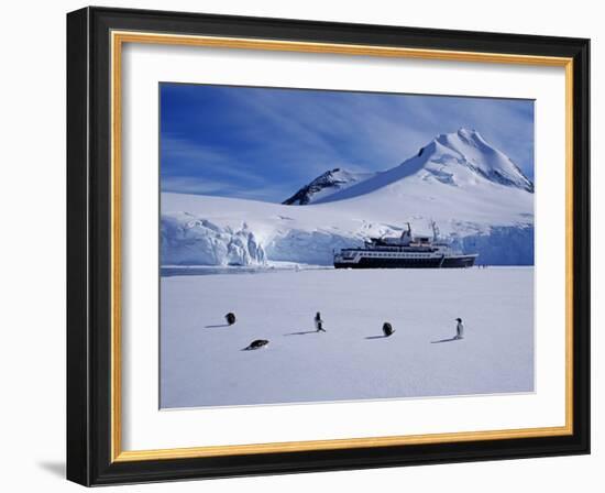 Antarctic Peninsula, Port Lockroy, Gentoo Penguins and Cruise Ship Clipper Adventurer, Antarctica-Allan White-Framed Photographic Print