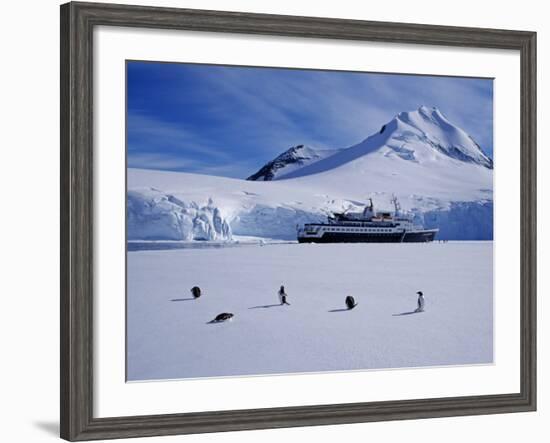 Antarctic Peninsula, Port Lockroy, Gentoo Penguins and Cruise Ship Clipper Adventurer, Antarctica-Allan White-Framed Photographic Print